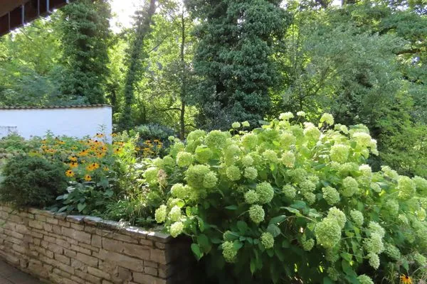 Garten  Ferienwohnung Oase am Rosenhag