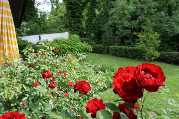 Garten  Ferienwohnung Oase am Rosenhag