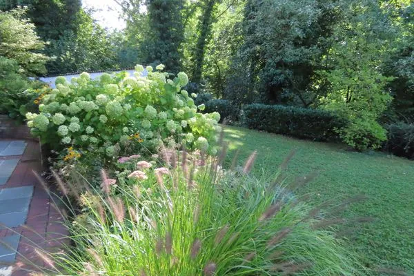 Garten  Ferienwohnung Oase am Rosenhag