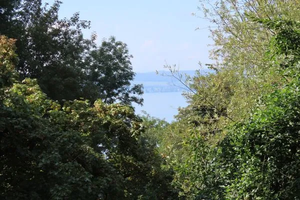 Landschaft  Ferienwohnung Oase am Rosenhag