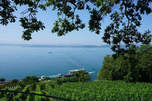 Landschaft  Ferienwohnung Weitsicht