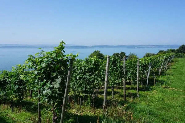 Landschaft  Ferienwohnung Weitsicht