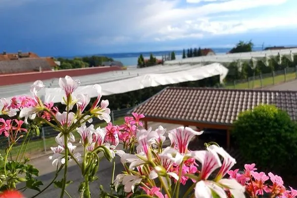 Nachbarschaft Holiday Home Ferienwohnung Holiday Home 10