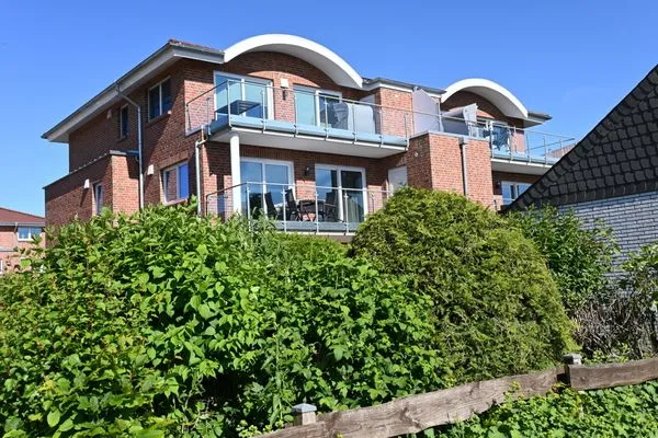 Hauptansicht  Seehund