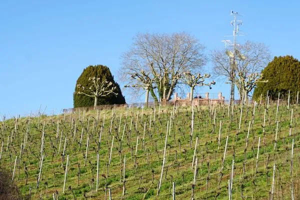Landschaft  Ferienwohnung Am Roten Turm