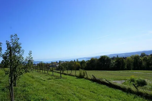 Gartenblick  Ferienhaus Spetzgart
