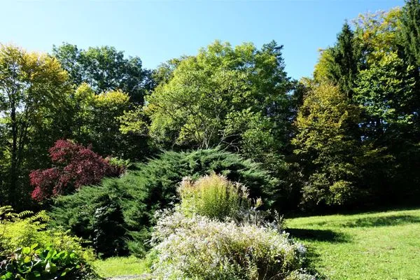 Garten  Ferienhaus Spetzgart