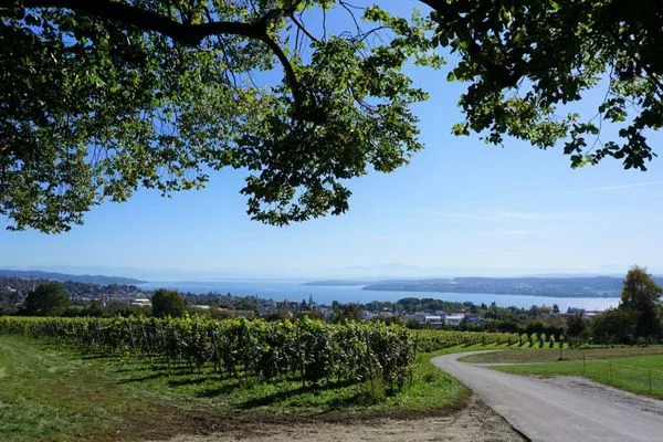 Landschaft  Ferienhaus Spetzgart