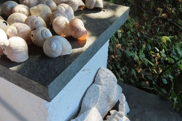 Dekoratives Detail  Ferienhaus Spetzgart