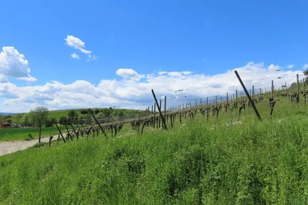 Landschaft  Ferienwohnung Alter Ortsweg