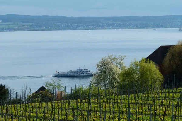 Landschaft ABC Ferienwohnungen Wohnung C****