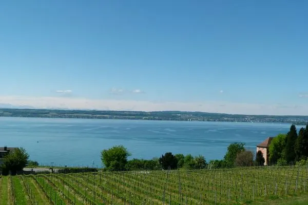 Landschaft ABC Ferienwohnungen Wohnung C****