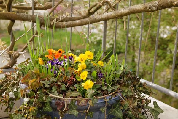 Dekoratives Detail ABC Ferienwohnungen Maisonette-Wohnung B2****