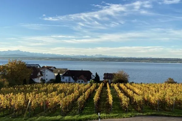 Landschaft ABC Ferienwohnungen Maisonette-Wohnung B2****