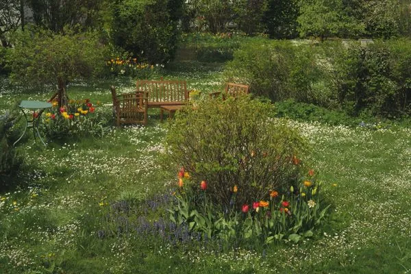 Gartenblick  ABC Wohnung D****