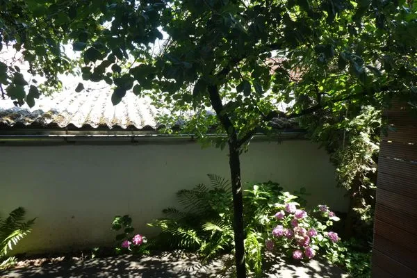 Terrasse  Atelierwohnung F