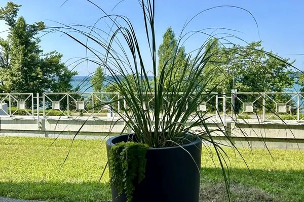 Meerblick  StrandGut