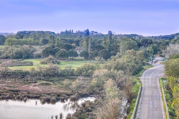  Ferienwohnung La Camargue Saint-Laurant-d`Agouze - 