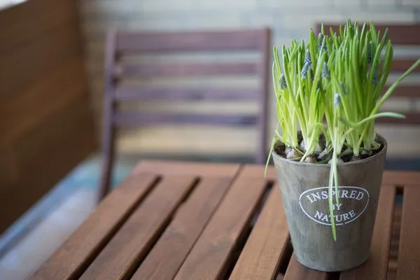 Dekoratives Detail  Friedrichstr. 32, Whg. 19