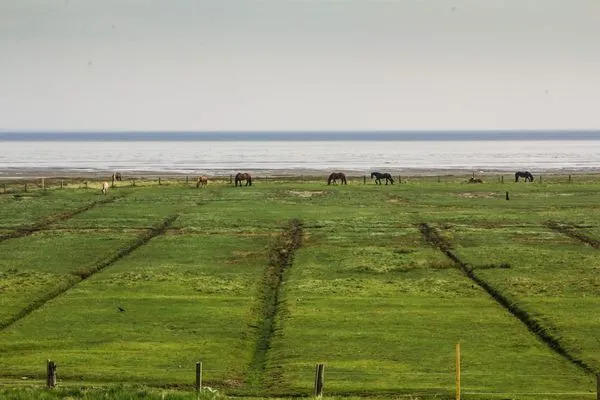 Landschaft  Strandhuus