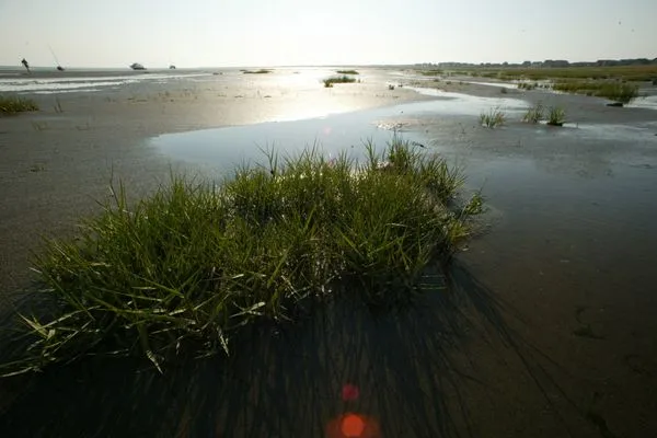Landschaft  Strandhuus