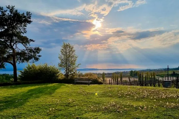  Ferienwohnung Fischerpromenade Kressbronn - Natur