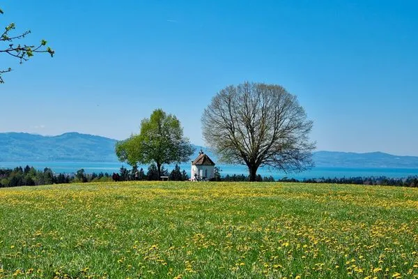  Terrassenwohnung Garten-Oase Lindau und Umgebung - Natur