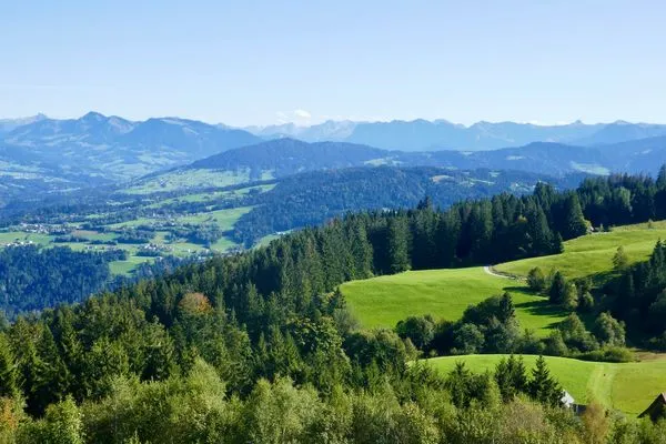  Terrassenwohnung Garten-Oase Lindau und Umgebung - Natur
