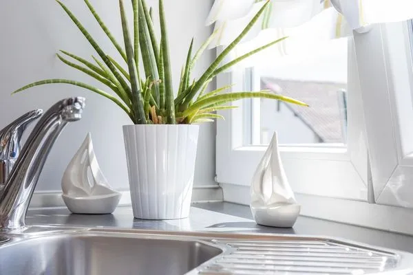 Ferienhaus Dani Ferienwohnung Pfänderblick Nonnenhorn - Dekoration