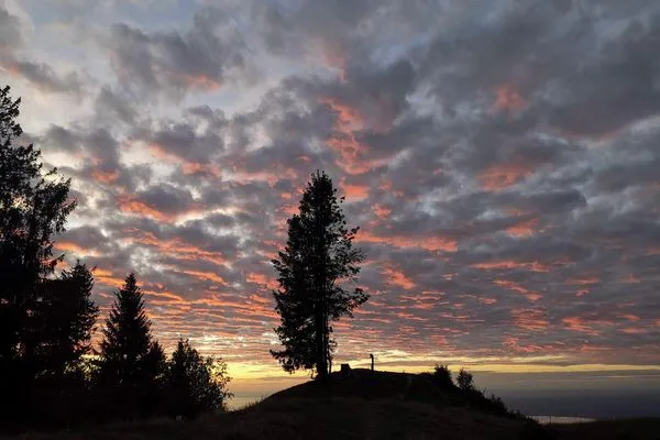  Ferienwohnung Luna Lindau Insel - Natur