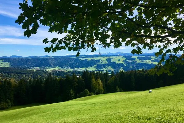  Ferienwohnung Panorama pur Lindau und Umgebung - Natur