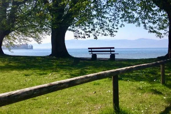  Ferienwohnung Strandgut Langenargen - Natur
