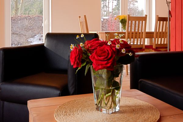  Haus Anemone Wieck - Dekoratives Detail