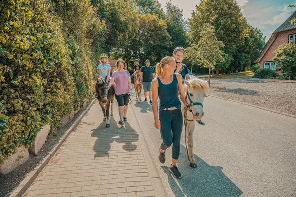 Sport / Aktivitäten  Wellness - Ferienhaus Steilküste