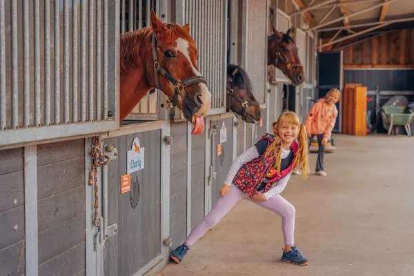 Sport / Aktivitäten  Relax Bungalow Küstenperle