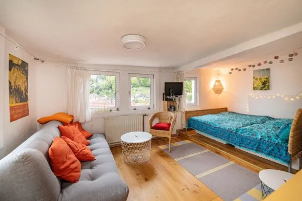 Bequemes Schlafsofa im Wohn-Schlaf-Bereich  Haus im Grünen