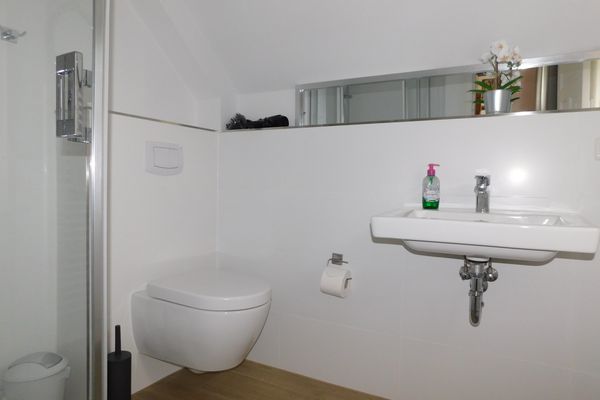  Boddenhaus 5 Ostseebad Ahrenshoop - Badezimmer