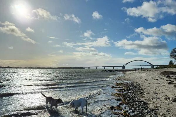  Ferienresidenz Haus Vogelflug App.18 Meerblick-180 Grad