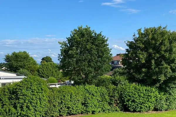 Landschaft  Hus op de Wurth Ferienwohnung 17