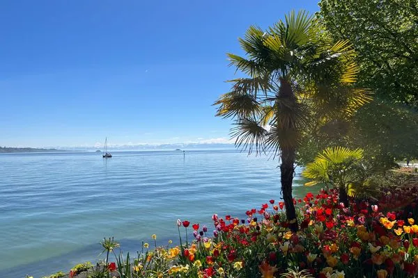 Landschaft  Bodensee Strandläufer Quartier