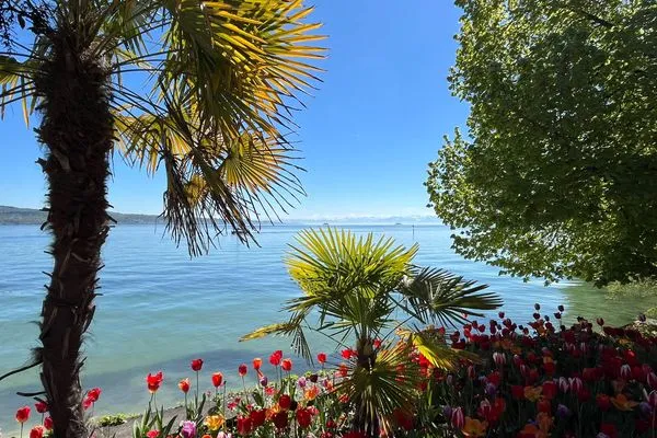 Landschaft  Bodensee Strandläufer Quartier