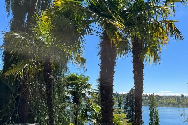 Landschaft  Bodensee Strandläufer Quartier