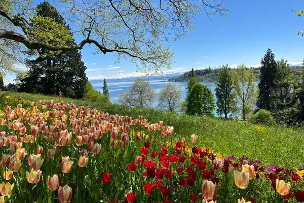 Landschaft  Bodensee Strandläufer Quartier