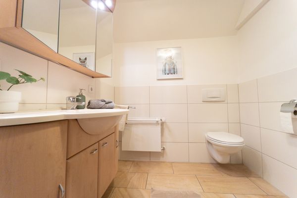 Altes Bauernhaus Katze Schmallenberg - Bad Wohnung Katze