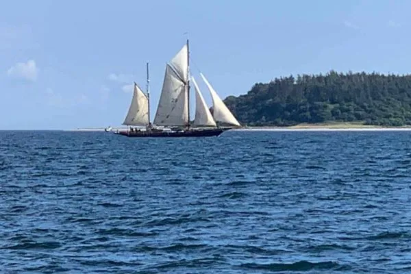 Landschaft  Ferienwohnung Kapitänswohnung