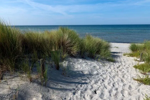 Strand Ostsee Residenz Meeresblick Atelierwohnung Concha