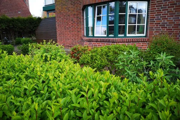 Hauptansicht  Ferienwohnung Deichkrone