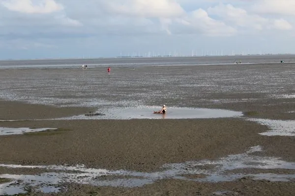 Landschaft  Hus op de Wurth Ferienwohnung seaside sixteen