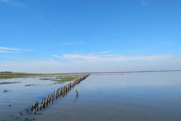 Landschaft  Hus op de Wurth Ferienwohnung seaside sixteen