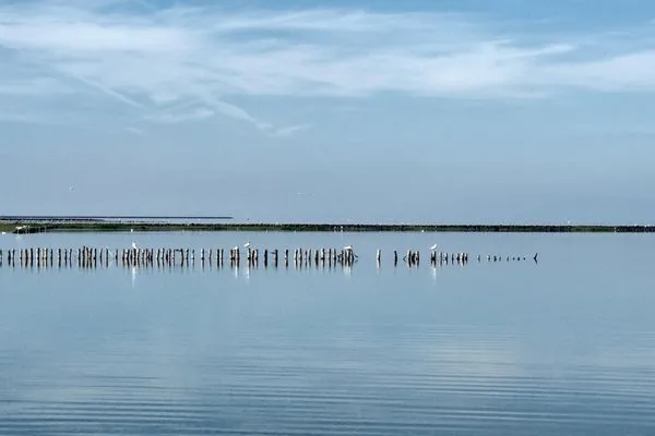 Landschaft  Hus op de Wurth Ferienwohnung seaside sixteen